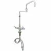 T&S Brass And Bronze Works T&S B-0268-02 Deck Mounted Single Hole Pantry Faucet With Flex Inlets, 18" Double Jointed Swing Nozzle, Eterna Cartridges, And 7 5/8" Extension