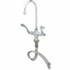T&S Brass And Bronze Works T&S B-0300-VR4 Vandal Resistant Deck Mounted Single Hole Pantry Faucet With Flex Inlets, 5 9/16" Rigid Gooseneck Nozzle, And 4" Wrist Action Handles