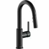 Elkay LKAV3032BK Avado Deck Mount Black Bar Faucet With Pull-Down Spray Head And Lever Handle