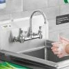 Waterloo Wall Mount Faucet With 6" Gooseneck Spout And 8" Centers