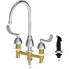 Chicago Faucet Company Chicago Faucets 200-AGN8AE35-317AB Deck-Mounted Faucet With 8" Centers, 8" Rigid / Swing Gooseneck Spout, And Side Spray
