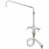T&S Brass And Bronze Works T&S B-2294-CR Deck Mounted Single Hole Pantry Faucet With Flex Inlets, 14" Swing Nozzle, Cerama Cartridges, And 6" Extension